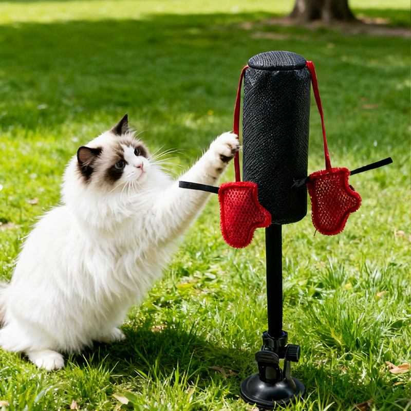 Innovative Interactive Mini Boxing Punching Cat Bag Toy PP Material Cat Toys for Kittens Style Pet Toys