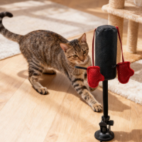 Innovative Interactive Mini Boxing Punching Cat Bag Toy PP Material Cat Toys for Kittens Style Pet Toys