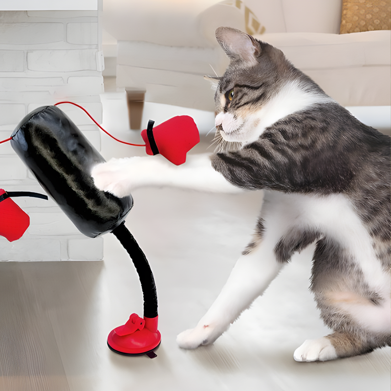 Innovative Interactive Mini Boxing Punching Cat Bag Toy PP Material Cat Toys for Kittens Style Pet Toys